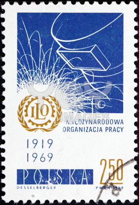 polysenior